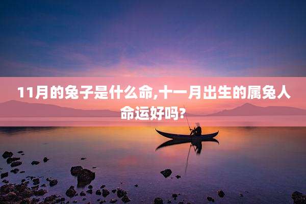 11月的兔子是什么命,十一月出生的属兔人命运好吗?