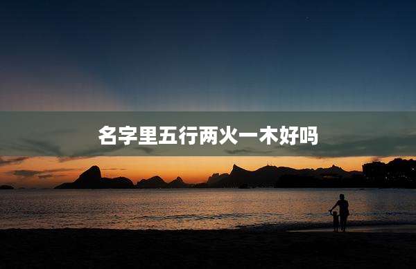 名字里五行两火一木好吗