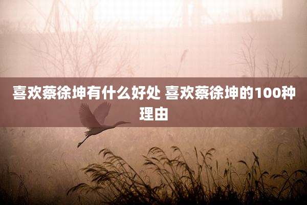 喜欢蔡徐坤有什么好处 喜欢蔡徐坤的100种理由