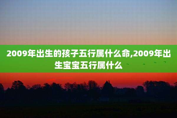 2009年出生的孩子五行属什么命,2009年出生宝宝五行属什么