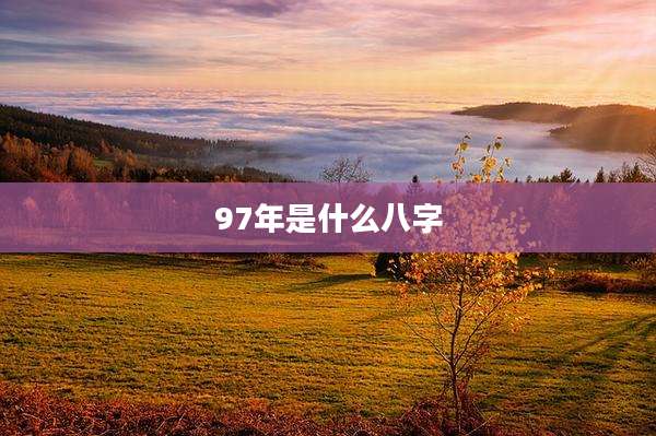 97年是什么八字