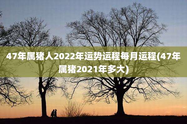 47年属猪人2022年运势运程每月运程(47年属猪2021年多大)