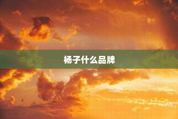 杨子什么品牌