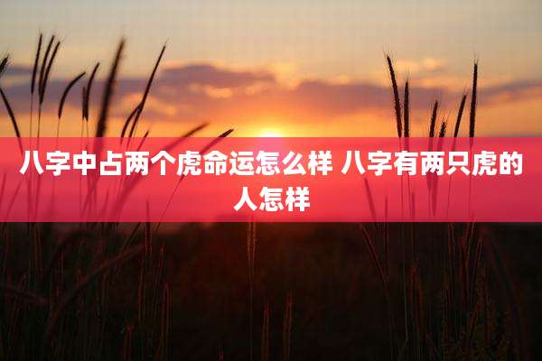 八字中占两个虎命运怎么样 八字有两只虎的人怎样
