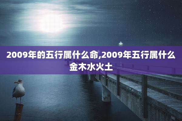 2009年的五行属什么命,2009年五行属什么金木水火土