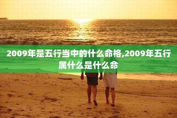 2009年是五行当中的什么命格,2009年五行属什么是什么命