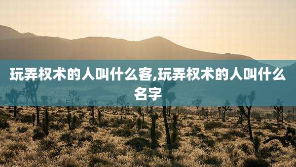 玩弄权术的人叫什么客,玩弄权术的人叫什么名字