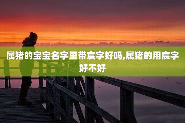 属猪的宝宝名字里带宸字好吗,属猪的用宸字好不好