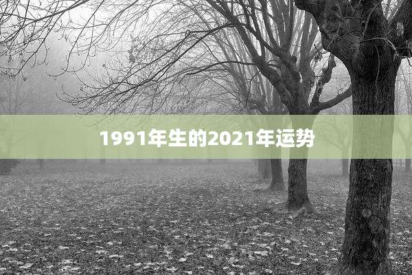 1991年生的2021年运势