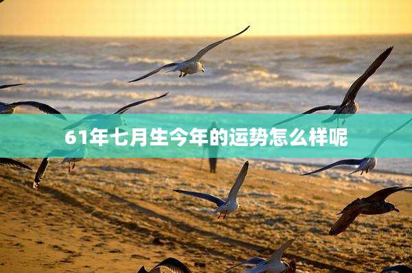 61年七月生今年的运势怎么样呢