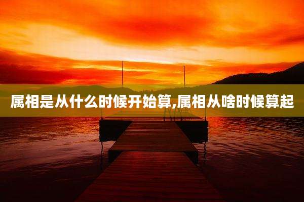 属相是从什么时候开始算,属相从啥时候算起