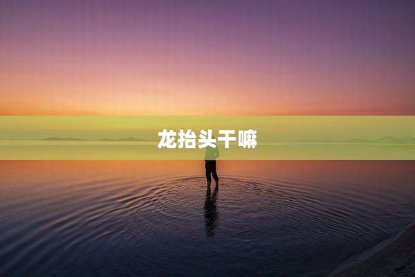 龙抬头干嘛
