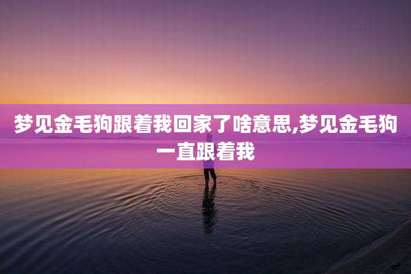 梦见金毛狗跟着我回家了啥意思,梦见金毛狗一直跟着我