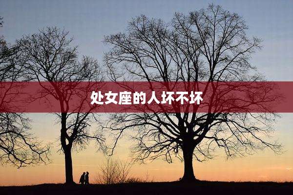 处女座的人坏不坏