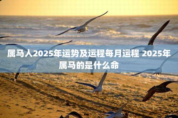 属马人2025年运势及运程每月运程 2025年属马的是什么命