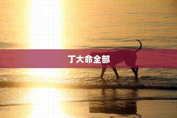 丁大命全部