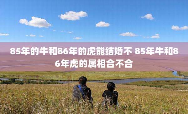 85年的牛和86年的虎能结婚不 85年牛和86年虎的属相合不合