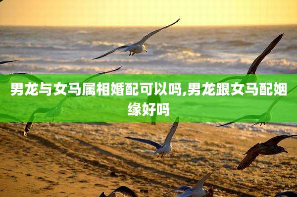 男龙与女马属相婚配可以吗,男龙跟女马配姻缘好吗