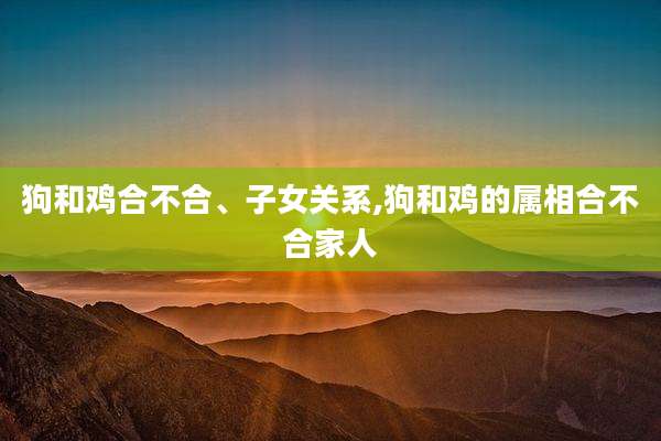 狗和鸡合不合、子女关系,狗和鸡的属相合不合家人