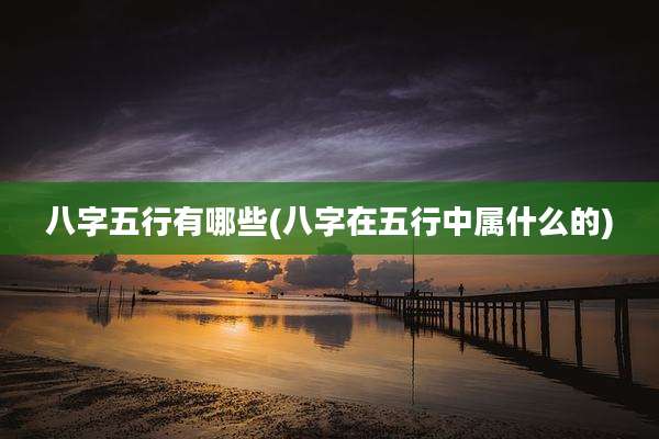 八字五行有哪些(八字在五行中属什么的)