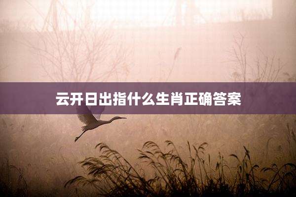 云开日出指什么生肖正确答案