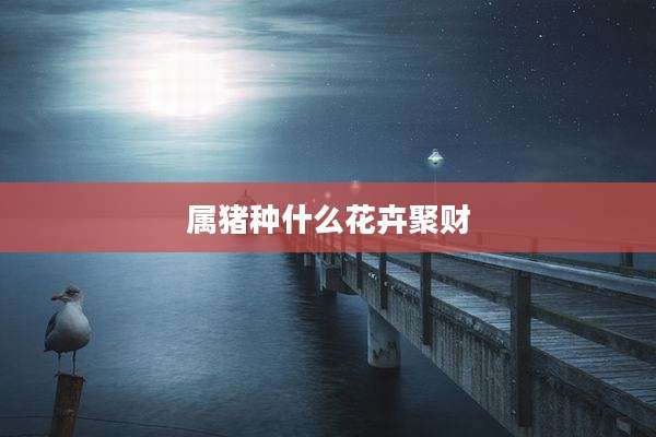 属猪种什么花卉聚财