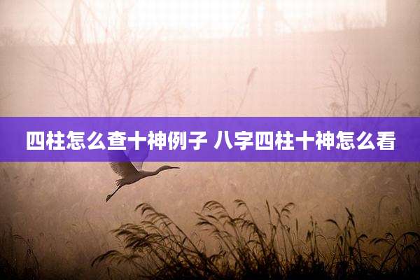 四柱怎么查十神例子 八字四柱十神怎么看