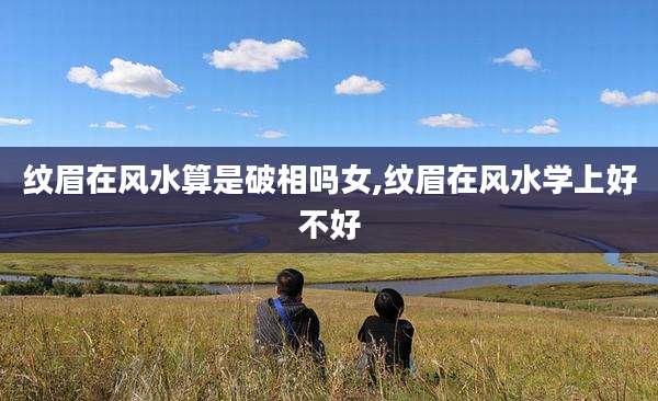 纹眉在风水算是破相吗女,纹眉在风水学上好不好