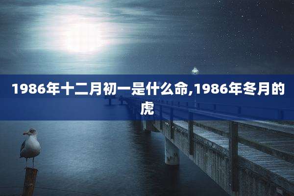 1986年十二月初一是什么命,1986年冬月的虎