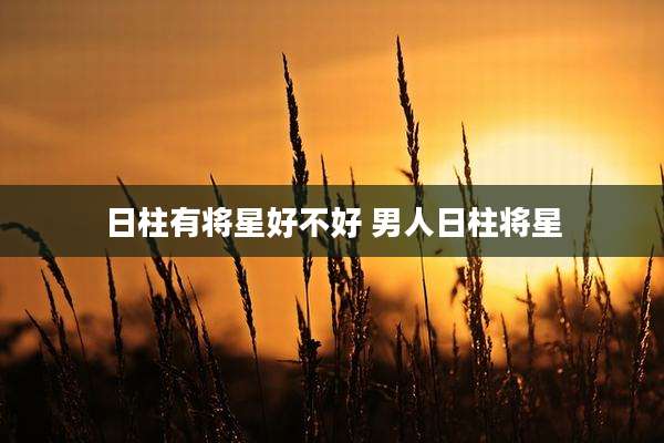 日柱有将星好不好 男人日柱将星