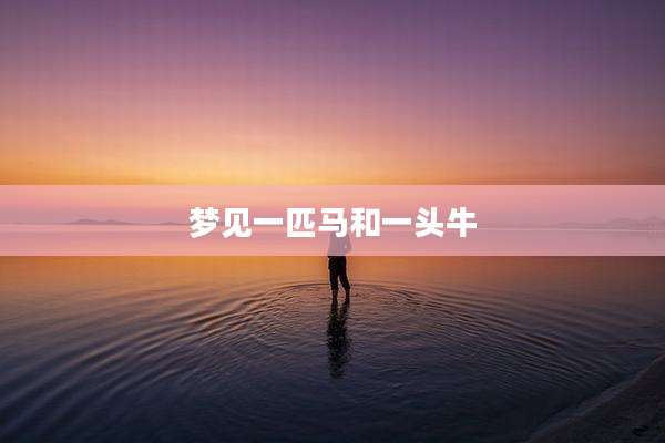 梦见一匹马和一头牛