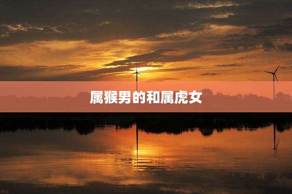 属猴男的和属虎女