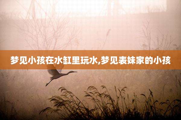 梦见小孩在水缸里玩水,梦见表妹家的小孩