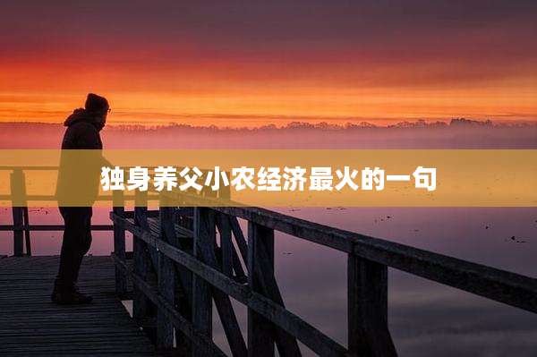 独身养父小农经济最火的一句