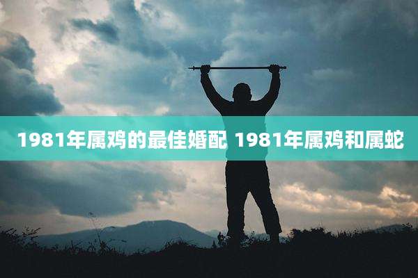 1981年属鸡的最佳婚配 1981年属鸡和属蛇