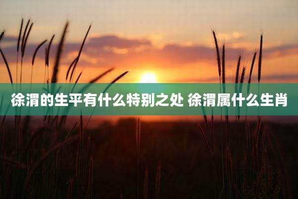 徐渭的生平有什么特别之处 徐渭属什么生肖