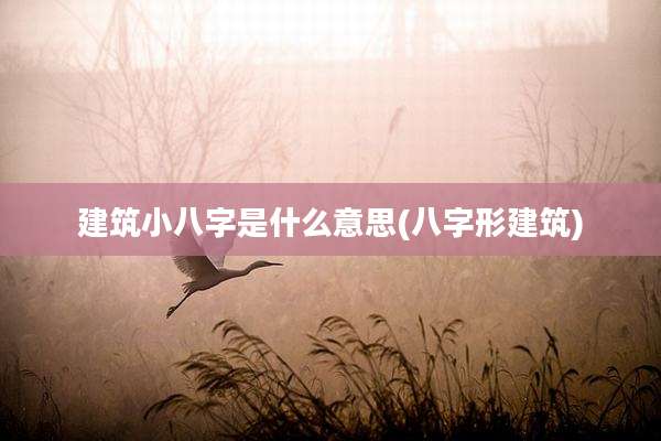 建筑小八字是什么意思(八字形建筑)