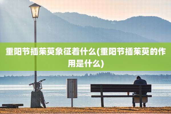 重阳节插茱萸象征着什么(重阳节插茱萸的作用是什么)