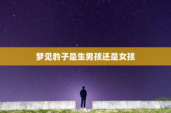 梦见豹子是生男孩还是女孩