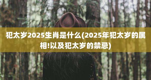 犯太岁2025生肖是什么(2025年犯太岁的属相!以及犯太岁的禁忌)