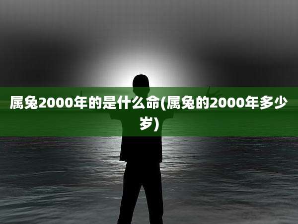 属兔2000年的是什么命(属兔的2000年多少岁)