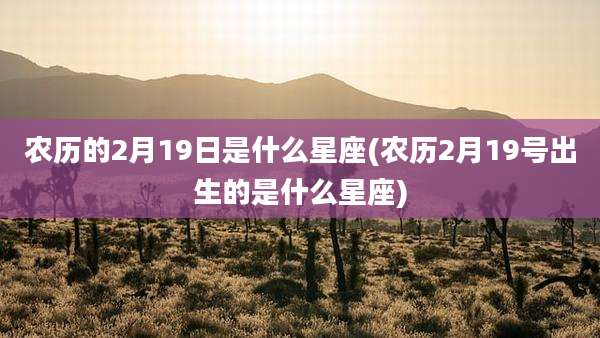 农历的2月19日是什么星座(农历2月19号出生的是什么星座)