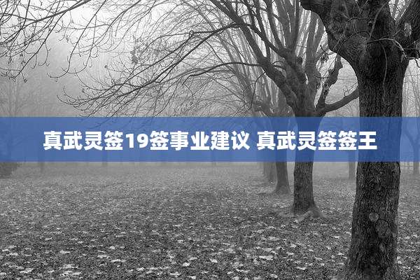 真武灵签19签事业建议 真武灵签签王