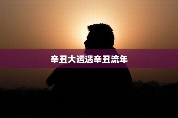辛丑大运遇辛丑流年
