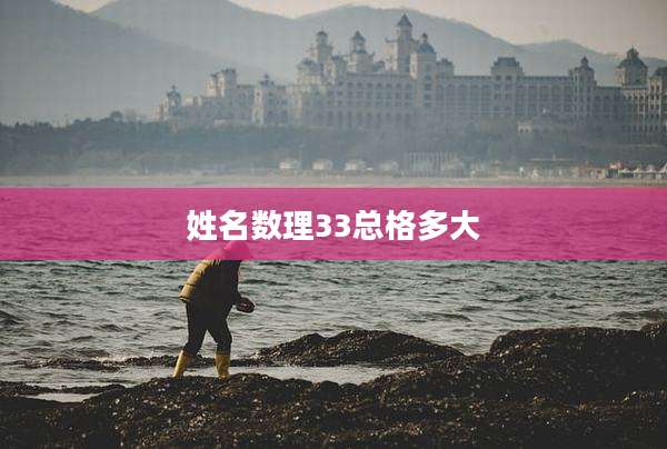 姓名数理33总格多大