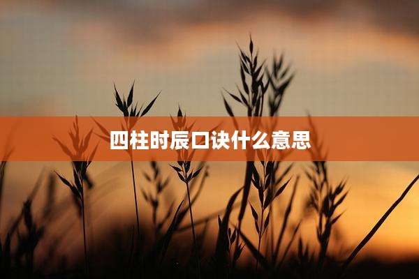 四柱时辰口诀什么意思