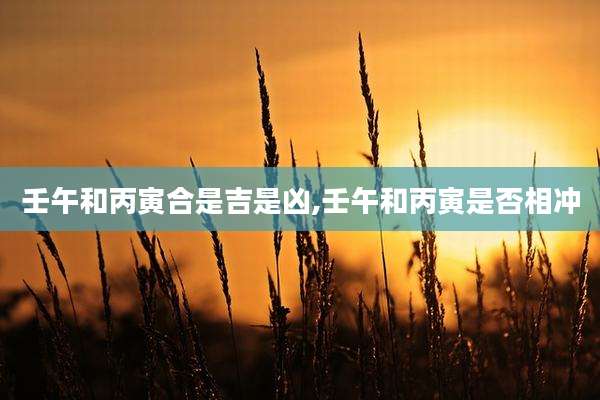 壬午和丙寅合是吉是凶,壬午和丙寅是否相冲