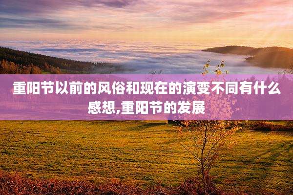 重阳节以前的风俗和现在的演变不同有什么感想,重阳节的发展