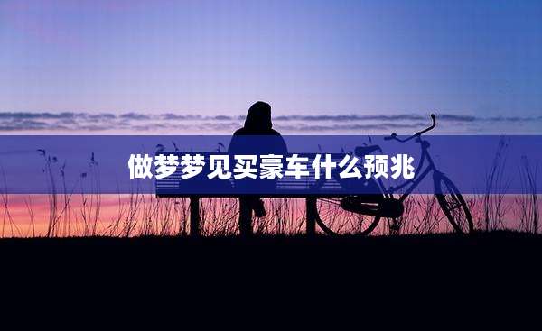 做梦梦见买豪车什么预兆