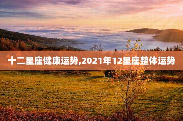 十二星座健康运势,2021年12星座整体运势